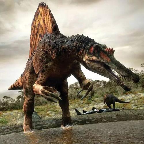 成人坐骑恐龙表演视频播放